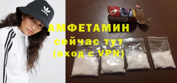индика Иннополис
