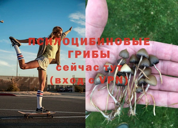 а пвп мука Каменногорск