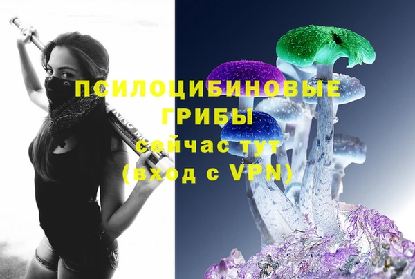 гидропоника Карталы