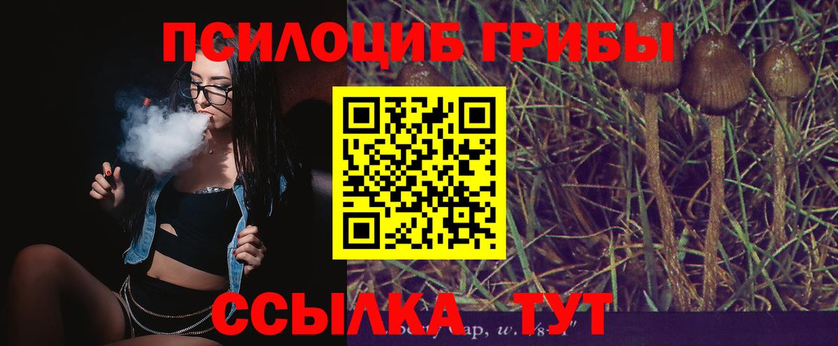 Галлюциногенные грибы GOLDEN TEACHER Кохма