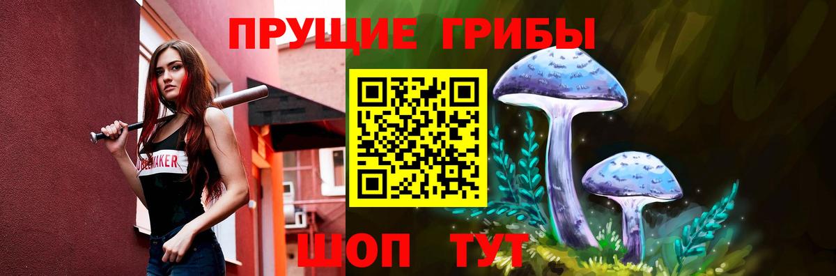Кохма  Галлюциногенные грибы Cubensis  цена   Вход с VPN 